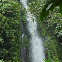 Photo de Bali - Autour de Munduk